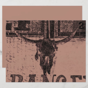 Vintager Western Bull Skull Braun Altes Land