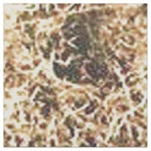 Vintager Western Cowboy Waterpferd - Lg Drucken