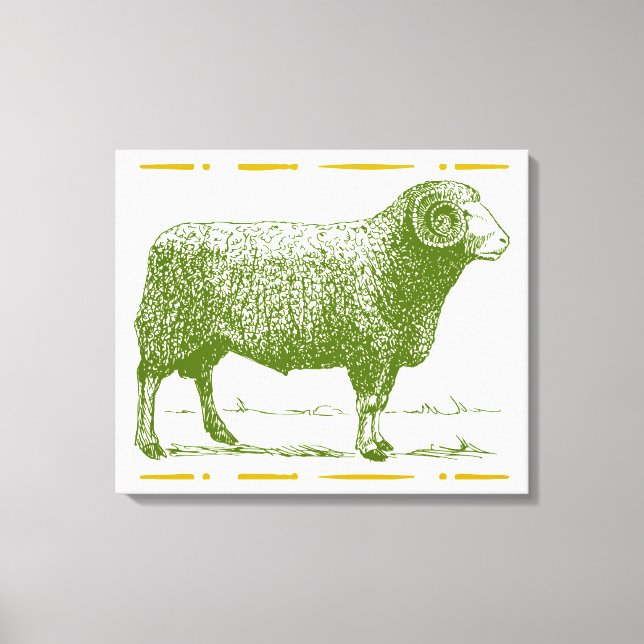 Vintager Widder Leinwanddruck (Vorderseite)