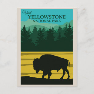 Vintager Yellowstone-Nationalpark Buffalo Postkarte