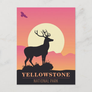 Vintager Yellowstone Nationalpark Sunset Postkarte