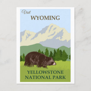 Vintager Yellowstone-Nationalparkbär Postkarte