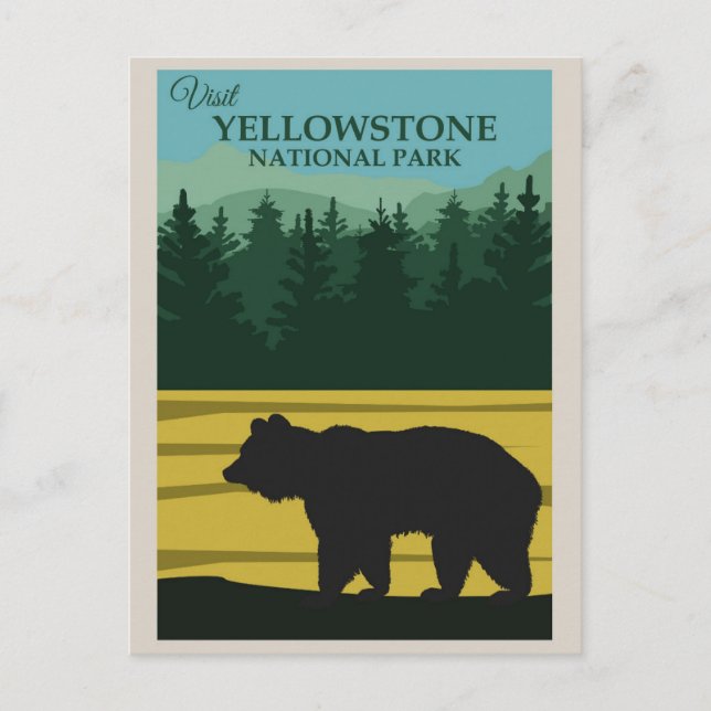 Vintager Yellowstone-Nationalparkbär Postkarte (Vorderseite)