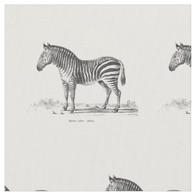 Vintager Zebra Stoff (Nahaufnahme)