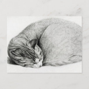 Vintager Zeichn eines Kitten Postkarte
