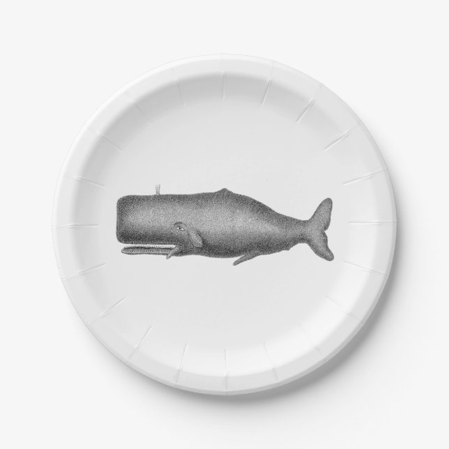 Vintager Zeichnend Wal aus dem 19. Jahrhundert Pappteller (Vorderseite)