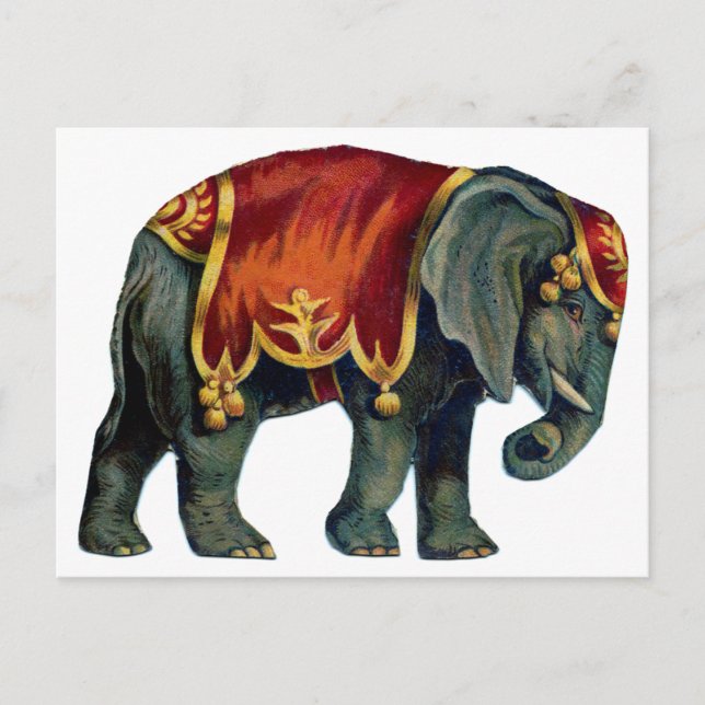 Vintager Zirkus darstellender Elefantenzirkus, Pos Postkarte (Vorderseite)
