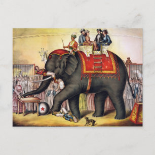 Vintager Zirkus-Elefant Postkarte