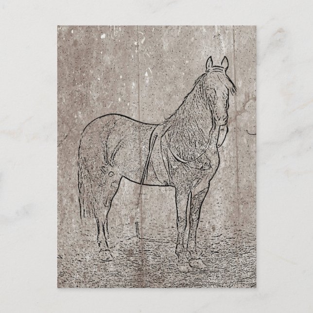 Vintager Ziviler Krieg Gewerkschaft Pferd Postkart Postkarte (Vorderseite)
