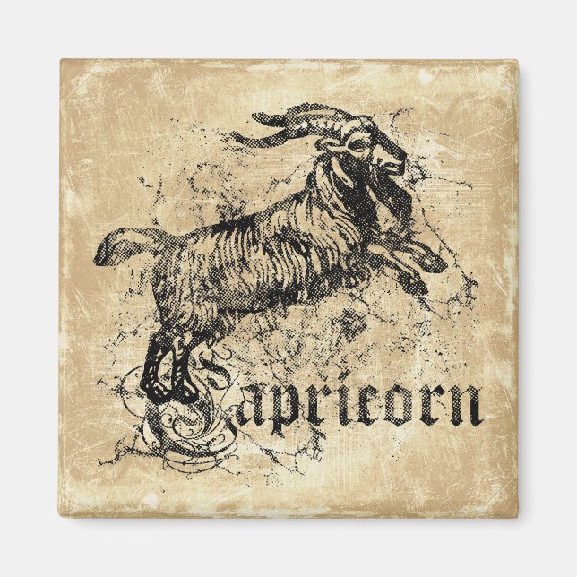Vintager Zodiac-Hartkorn Magnet (Vorne)