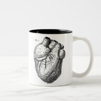 Vintages 1800s Herz-Retro Herzanatomie-Herzen Zweifarbige Tasse
