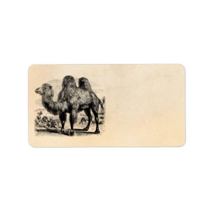 Vintages 1800s Kamel - ägyptische Kamel-Schablone Adressaufkleber