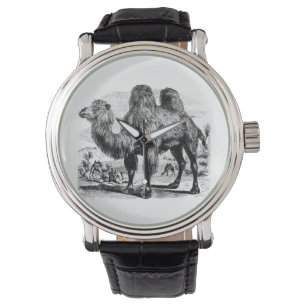 Vintages 1800s Kamel - ägyptische Kamel-Schablone Armbanduhr