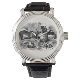 Vintages 1800s Meerschweinchen-Retro alte Armbanduhr