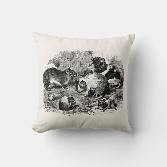 Vintages 1800s Meerschweinchen-Retro alte Kissen (Vorderseite)