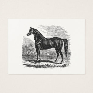 Vintages 1800s Pferd - Morgan-Reiter-Schablone