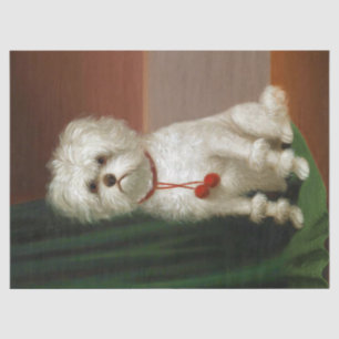Vintages Adorable White Dog Portrait Seidenpapier
