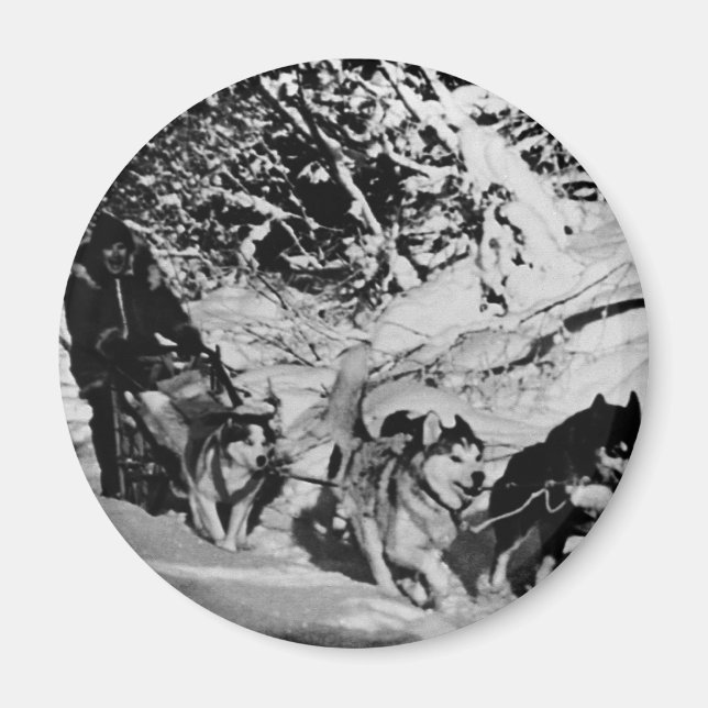 Vintages Alaska eskimo Malamute Schlittenrennen Magnet (Vorne)