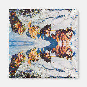 Vintages Alaska eskimo Malamute Schlittenrennen Magnet