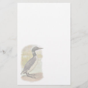 Vintages allgemeines Loon-Briefpapier Briefpapier