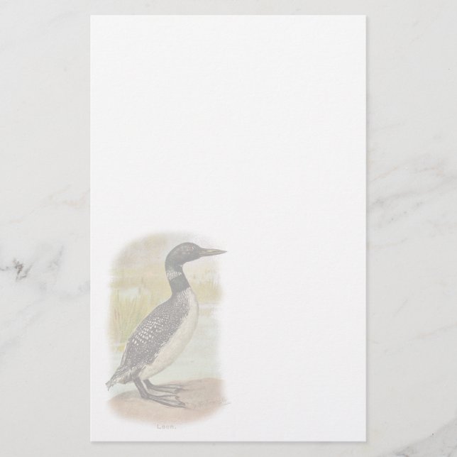 Vintages allgemeines Loon-Briefpapier Briefpapier (Vorderseite)