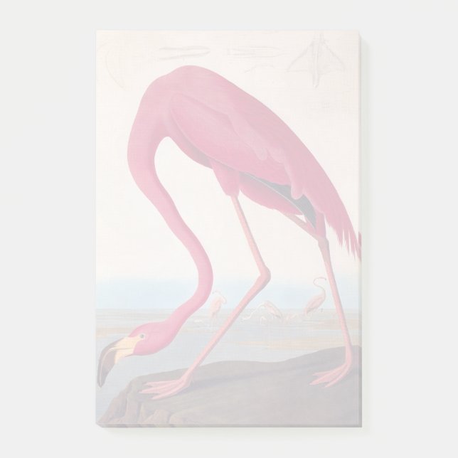 Vintages amerikanisches Pink Flamingo Audubon Buch Post-it Klebezettel (Vorderseite)