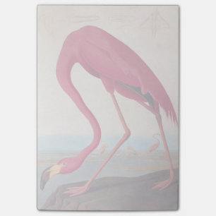 Vintages amerikanisches Pink Flamingo Audubon Buch Post-it Klebezettel
