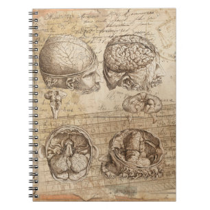 Vintages Anatomie-Distressed Collage Art-Notebook Notizblock