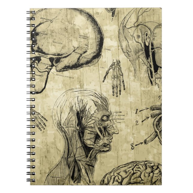 Vintages Anatomie-Notebook Notizblock (Vorderseite)