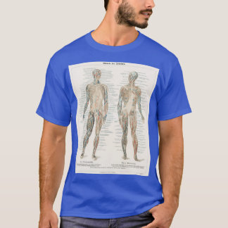 Vintages Anatomiediagramm T-Shirt