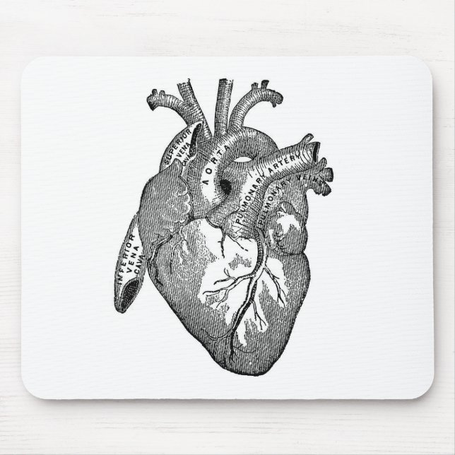 Vintages anatomisches Herz Mousepad (Vorne)