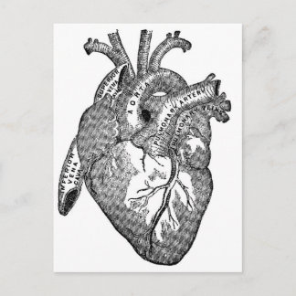 Vintages anatomisches Herz Postkarte