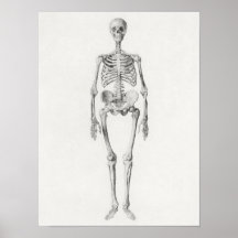 Vintages anatomisches Illustrationspaket