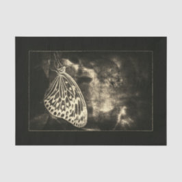 Vintages Antibes Sepia-Schmetterling-Dekoute Seidenpapier