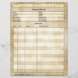 Vintages antikes Aussehen - individuelles Datenbla Flyer