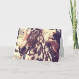 Vintages Appaloosa-Show-Pferd, Geburtstag Karte