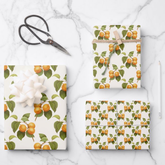 Vintages Apricot-Fruchtthemenmuster Geschenkpapier Set (Vorderseite)