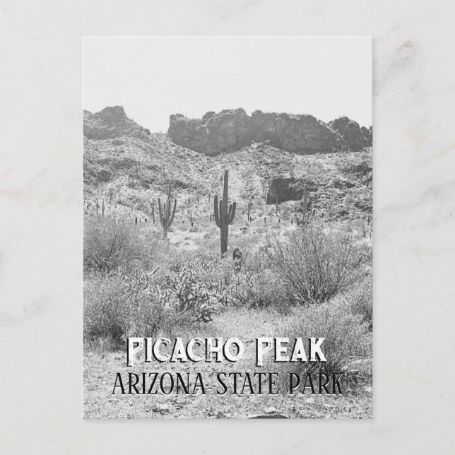 Vintages Arizona Saguaro Cactus Picacho Postkarte (Vorderseite)
