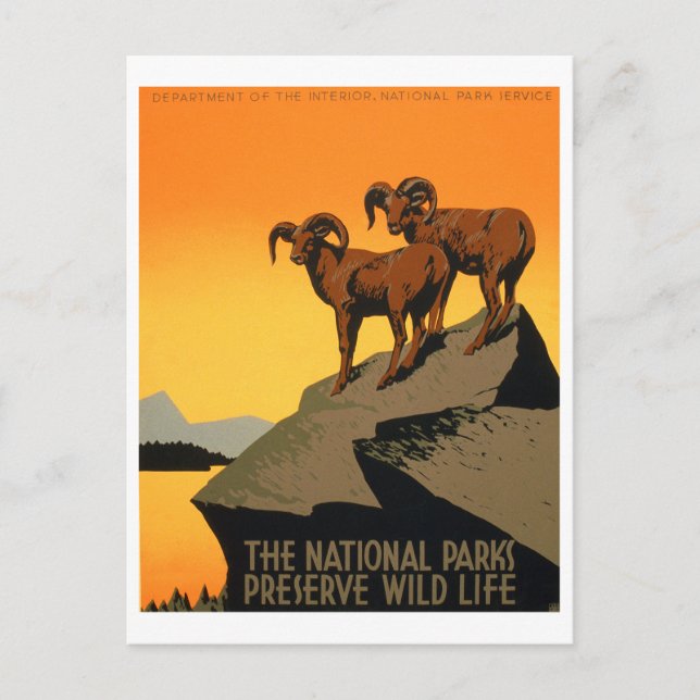 Vintages Artenschutzposter Postkarte (Vorderseite)