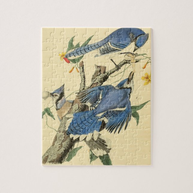 Vintages Audubon Blue Jay Bird Malgeschenk Puzzle (Vertikal)