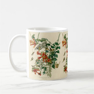 Vintages Audubon Hummingbird-Malgeschenk  Kaffeetasse