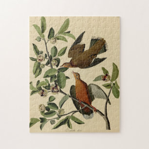 Vintages Audubon-Märchenvogel Puzzle