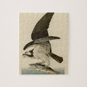 Vintages Audubon Osprey Vogelmalereigeschenk Puzzle