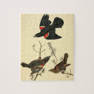 Vintages Audubon Rot-Winged Blackbird-Malgeschenk Puzzle