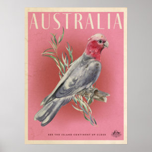 Vintages australisches Reiseplakat Poster