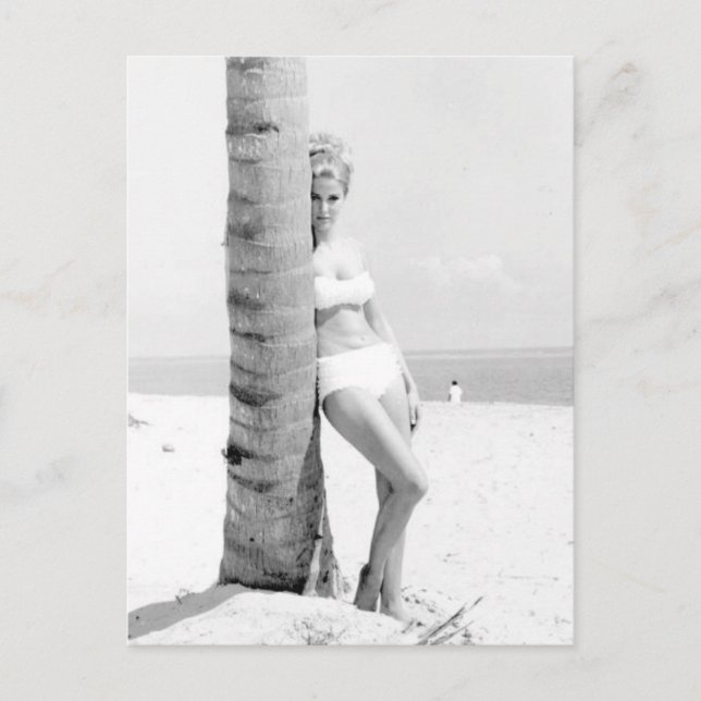 Vintages B&W Foto Florida Bikini Postkarte (Vorderseite)
