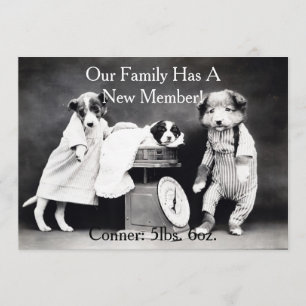 Vintages B&W verfolgt neue Welpen-Mitteilung Ankündigung