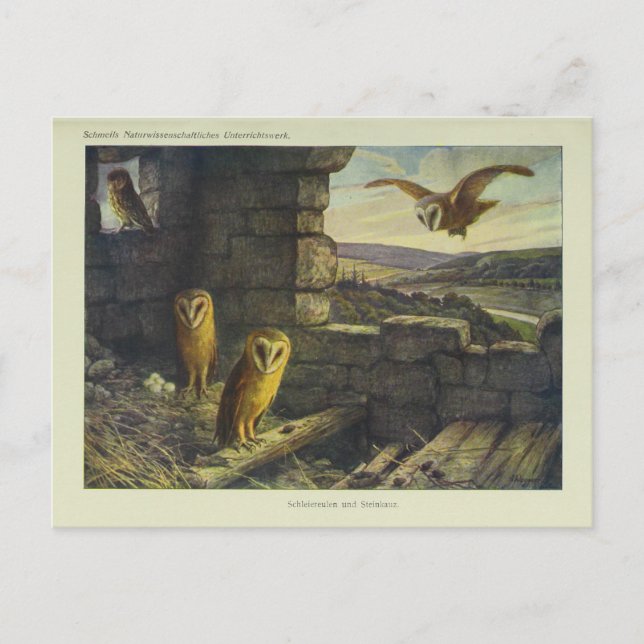 Vintages Barhosen Kunst, Dichtung und Musik Postkarte (Vorderseite)