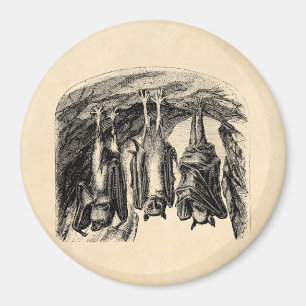Vintages Bat 1800s Fliegenfuchs-Bat Magnet