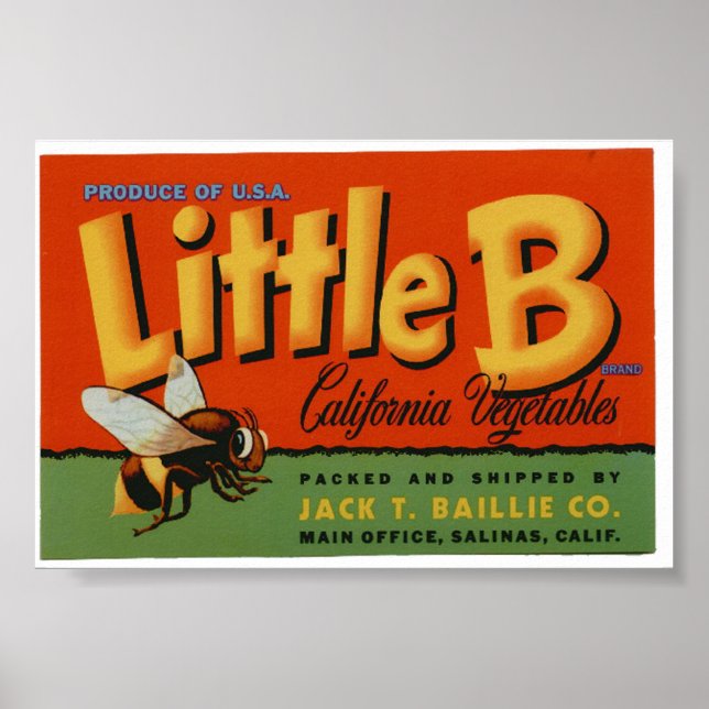 Vintages Bienengemüse Kratzen Poster (Vorne)